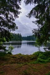 Bärenbrucher Teich im Harz