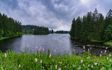 Bärenbrucher Teich im Harz