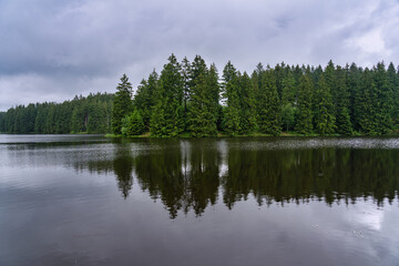 Bärenbrucher Teich im Harz