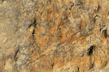 Macro of the surface of a light colored rock with black and orange spots