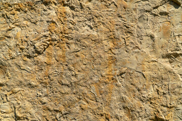 Macro of the surface of a light colored rock with black and orange spots. Rocks of the Caucasus