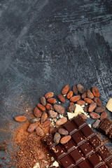 Cacao beans and chocolate on gray background.