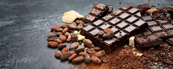 Cacao beans and chocolate on gray background.