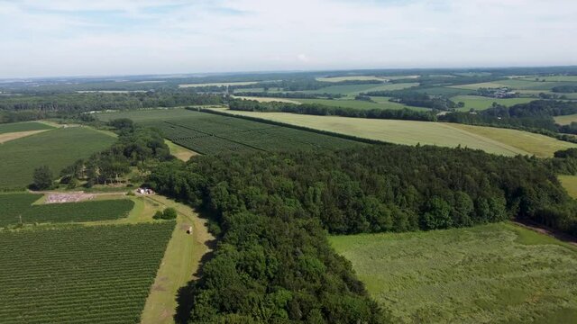 4K footage flying over woodlands in England.