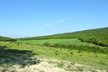 Fototapeta na wymiar Karalez Valley, Crimea, Russia. Summer halcyon mountain landscape.