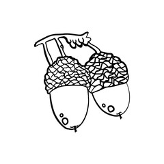 Vintage Acorn doodle monochromatic line art illustration hand drawn.