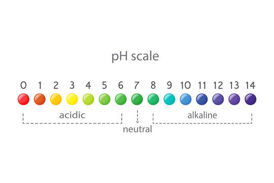 pH value scale chart for acid and alkaline solutions, acid-base balance infographic. 