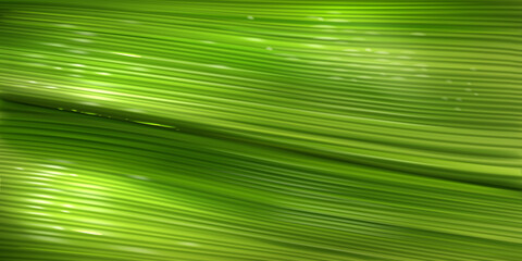 Obraz premium Banana leaf texture, close up green pattern of palm tree foliage with water drops. Vector realistic background with structure of fresh leaf surface. Wallpaper with tropical plant texture