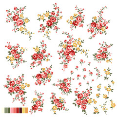 Beautiful rose illustration material collection,