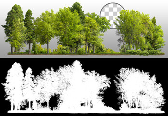 Cutout tree line.
Row of green trees and shrubs in summer isolated on transparent background via an alpha channel. Forestscape. High quality clipping mask. Forest and green foliage.