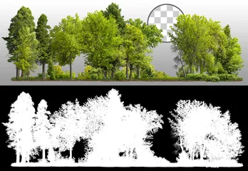 Stoff pro Meter Cutout tree line. Row of green trees and shrubs in summer isolated on transparent background via an alpha channel. Forestscape. High quality clipping mask. Forest and green foliage. © Kimo