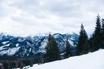 Scenic of snow-capped mountain landscape on a cloudy day in winter, Tatra Mountains.