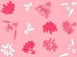 twelve lily white and red flowers silhouettes collection