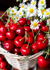 Cherry close-up in a basket with flowers. Fruit background. Ripe red berries on a wooden table.
