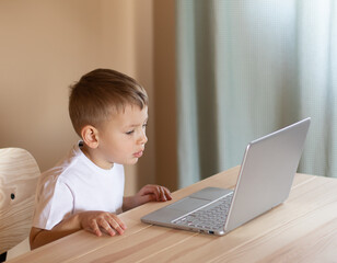 Little boy sits at the computer and looks carefully at the monitor. Distance education concept.