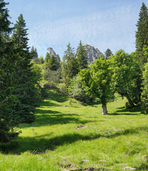 Fototapeta na wymiar Gratwanderung zum Pürschling bei Oberammergau