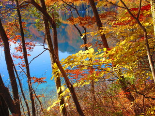 Autumn leaves and lake