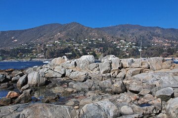 The bird on rocks in Zapallar village, Chile