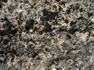 texture of a rough stone floor