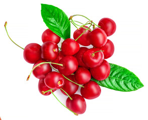 Cherry isolated. Red Cherries with leaves  on white background. Pile of Sour cherry macro. Top view.