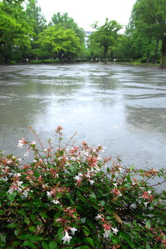 2 692 Best 公園 公園風景images Stock Photos Vectors Adobe Stock