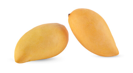 Yellow mango isolated on white background