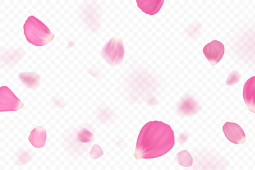 Pink flower petals are falling. Isolated on transparent background. - obrazy, fototapety, plakaty