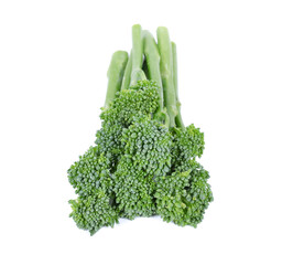 Broccolini baby broccoli on white background