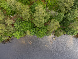 Bird's eye view of a pond, lake with green trees. Aerial, drone nature photography taken from above...