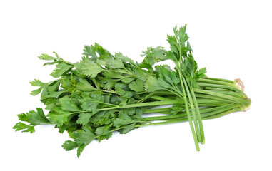 clipping path celery isolated on white background