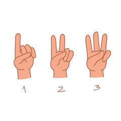 Hands are counted on the fingers from 1 to 3. A set of three hands with different gestures and the number of fingers. Vector illustration in cartoon children s style. Isolated clipart