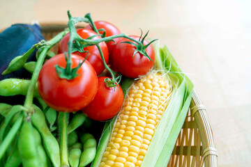 もぎたて新鮮な夏野菜（枝豆、トマト、とうもろこし）