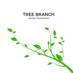 Branch silhouette isolated on white background. Green tree branch with a lot of leaves. Vector