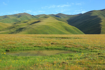 Fototapeta na wymiar High altitude mountains with grassland landscape