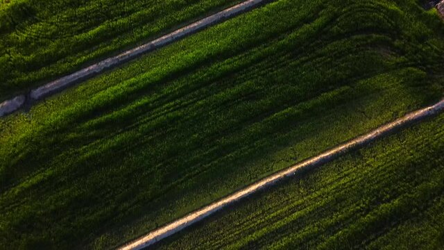 vuelo de drone sobre arrozales de calasparra en ,Murcia, Espa&ntilde;a