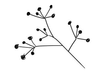 line art branch in black, isolated on a white background