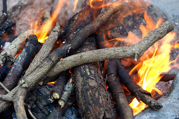 a fire breaks out in the woods for a grill. flame fire