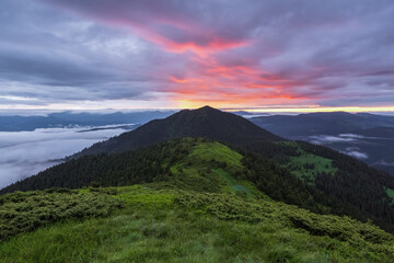 Obraz na płótnie Canvas Sunrise. Spring morning. Landscape with high mountains. Foggy morning. Panoramic view. Natural scenery. Wallpaper background. Touristic place Carpathian park.