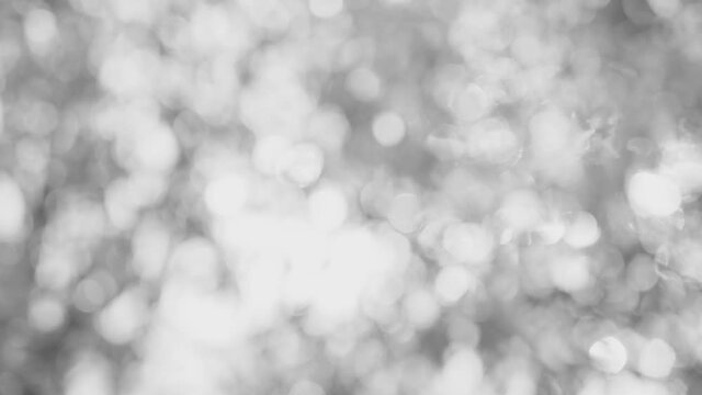 Blurry abstract 4k black and white video background. Sunny bright bokeh of defocused green landscape boke backdrop with magic soft sunshine through round particles