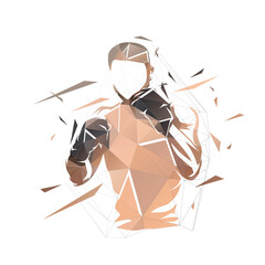 Fighter logo, boxing isolated low polygonal vector illustration, geometric drawing from triangles. Front view, boxing - obrazy, fototapety, plakaty