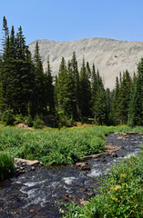 Obraz premium picturesque creek and mt. audobon along the hiking trail to blue lake, in the indian peaks wilderness area, colorado