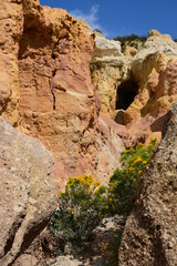 yellow wildflowers and the fantastically-colored and eroded paint mines, near calhan, in el paso county, colorado