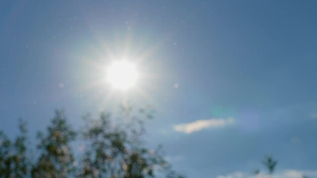 4k stock video footage of bright blurry sun star shining in morning summer blue sky. Insects and particles of pollen of flowers flying blowing by wind in fresh sunny air 