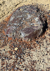 the colorful remnants of  a petrified in the alamo wash section of the bisti badlands,  on a sunny winter day, near farmington, new mexico
