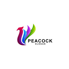 Peacock gradient color logo