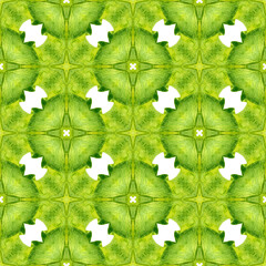 Exotic seamless pattern. Green flawless boho