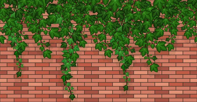 Ivy on brick wall. Climbing ivy foliage and hanging green liana on red brick house wall or garden fence. Seamless repeat pattern, cartoon background. Vector illustration.