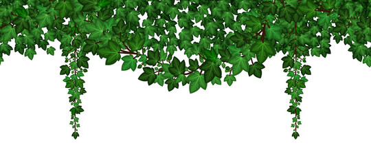 Ivy foliage garland. Green climbing and hanging ivy leaves and liana. Summer natural plant wall, repeat seamless pattern. Vector illustration