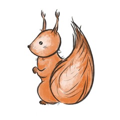 Forest squirrel on a white background 