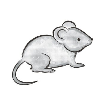 mouse grey painted on a white background 